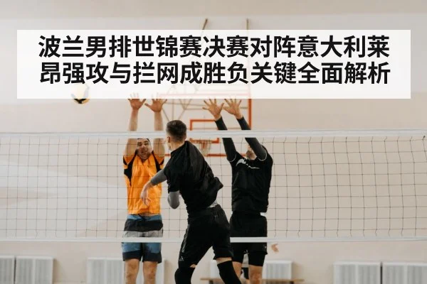 volleyball block net