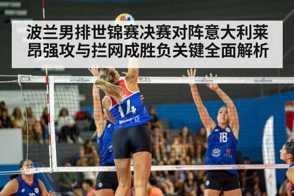 volleyball final match